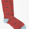 Men FatFace View All|1 Pack Dachshund Socks
