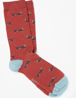 Men FatFace View All|1 Pack Dachshund Socks