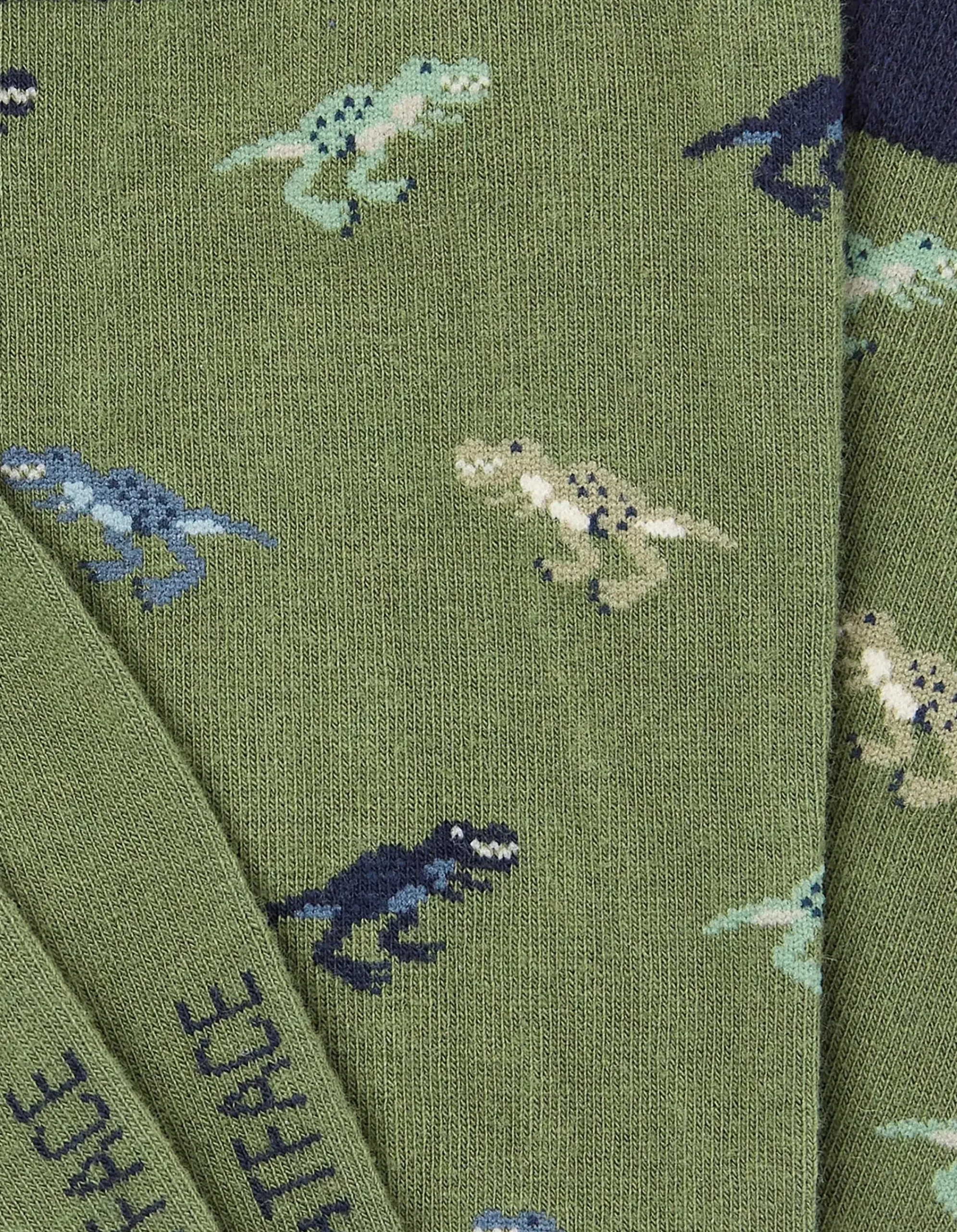 Men FatFace View All|1 Pack Dinosaur Socks