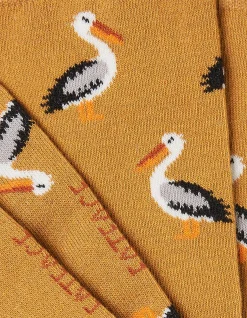 Men FatFace View All|1 Pack Pelican Socks