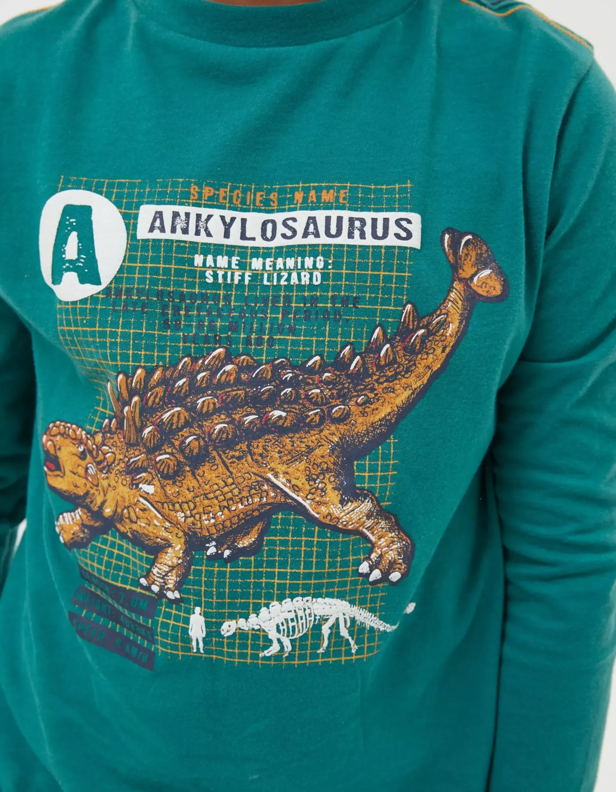 Boys FatFace View All|Ankylosaurus Graphic T Shirt
