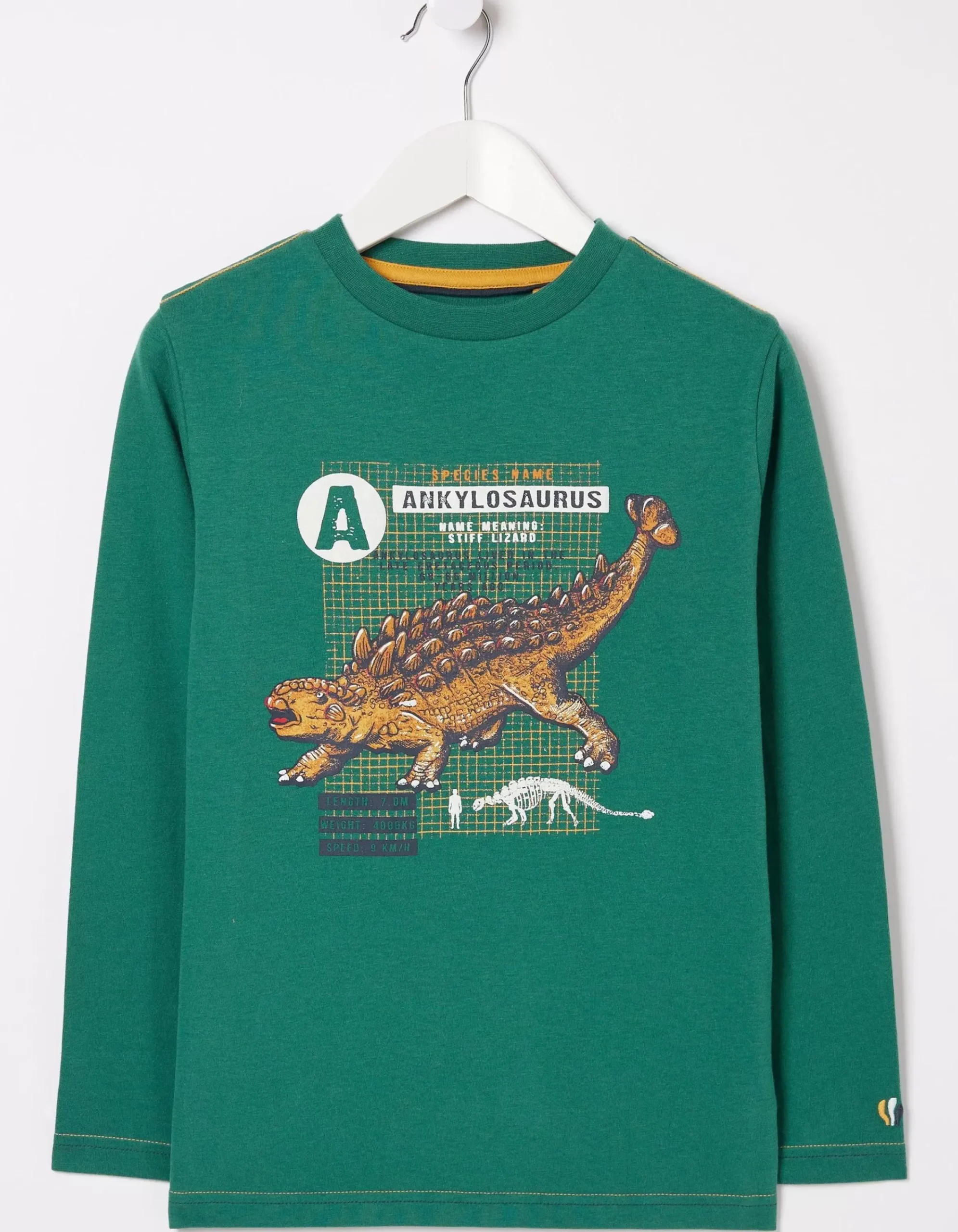 Boys FatFace View All|Ankylosaurus Graphic T Shirt