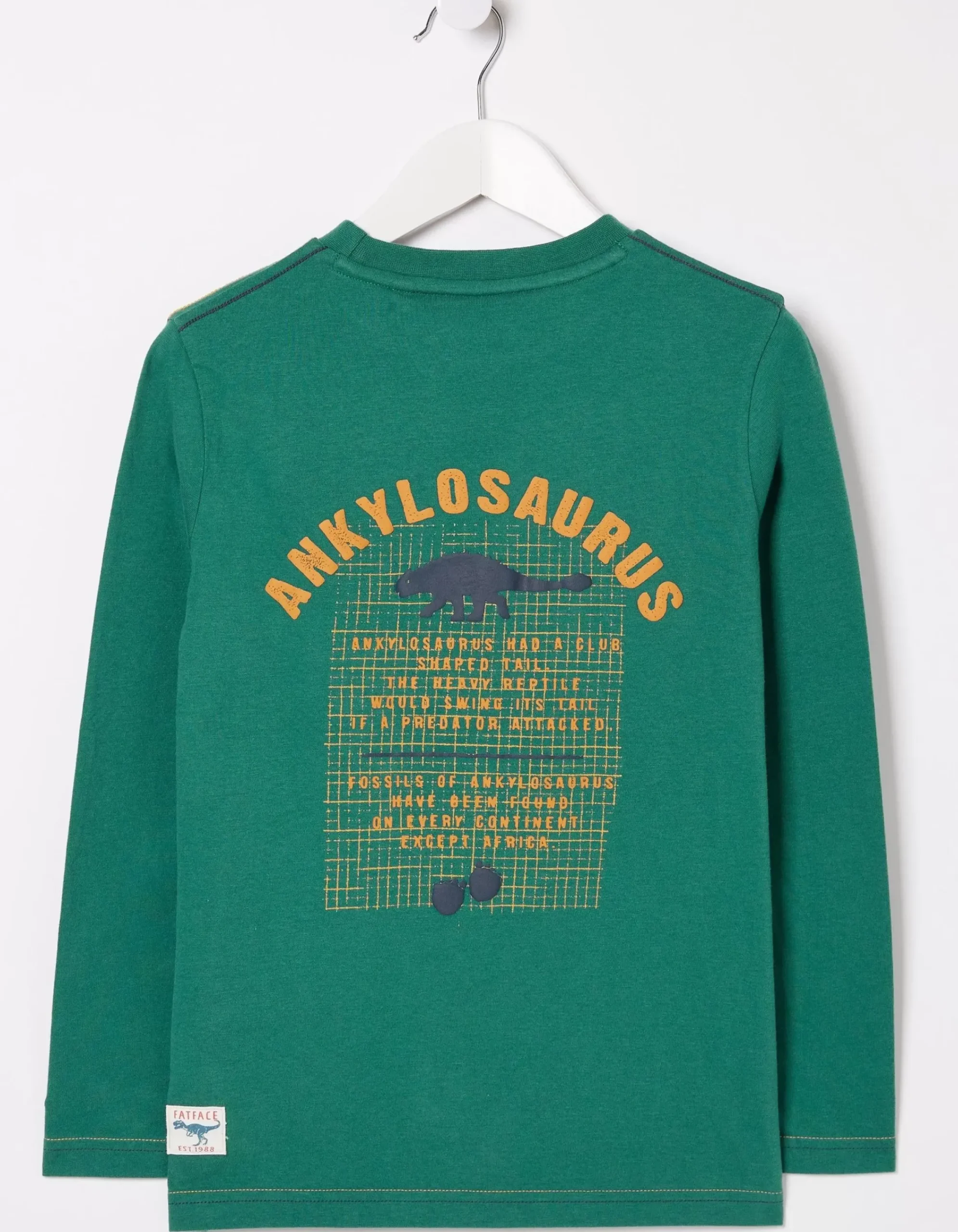 Boys FatFace View All|Ankylosaurus Graphic T Shirt