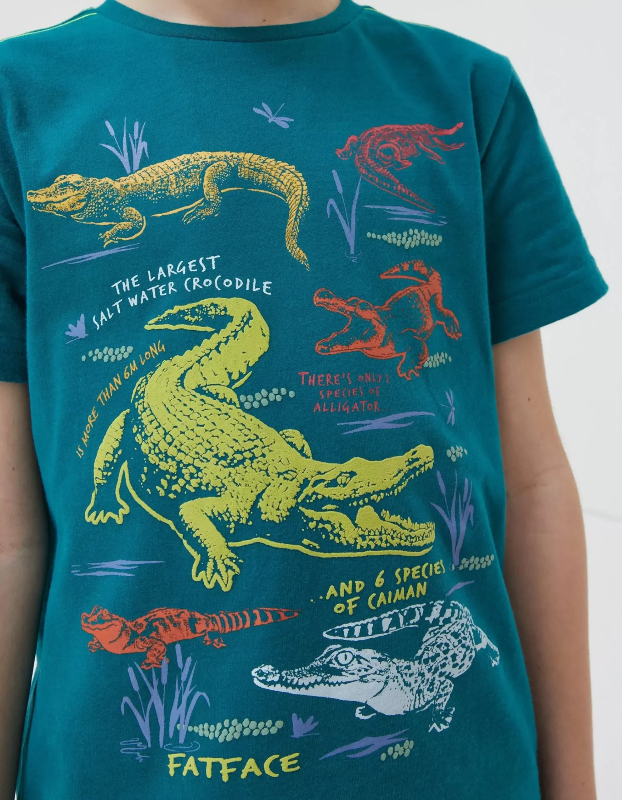 Boys FatFace View All|Crocodile Info Jersey T Shirt