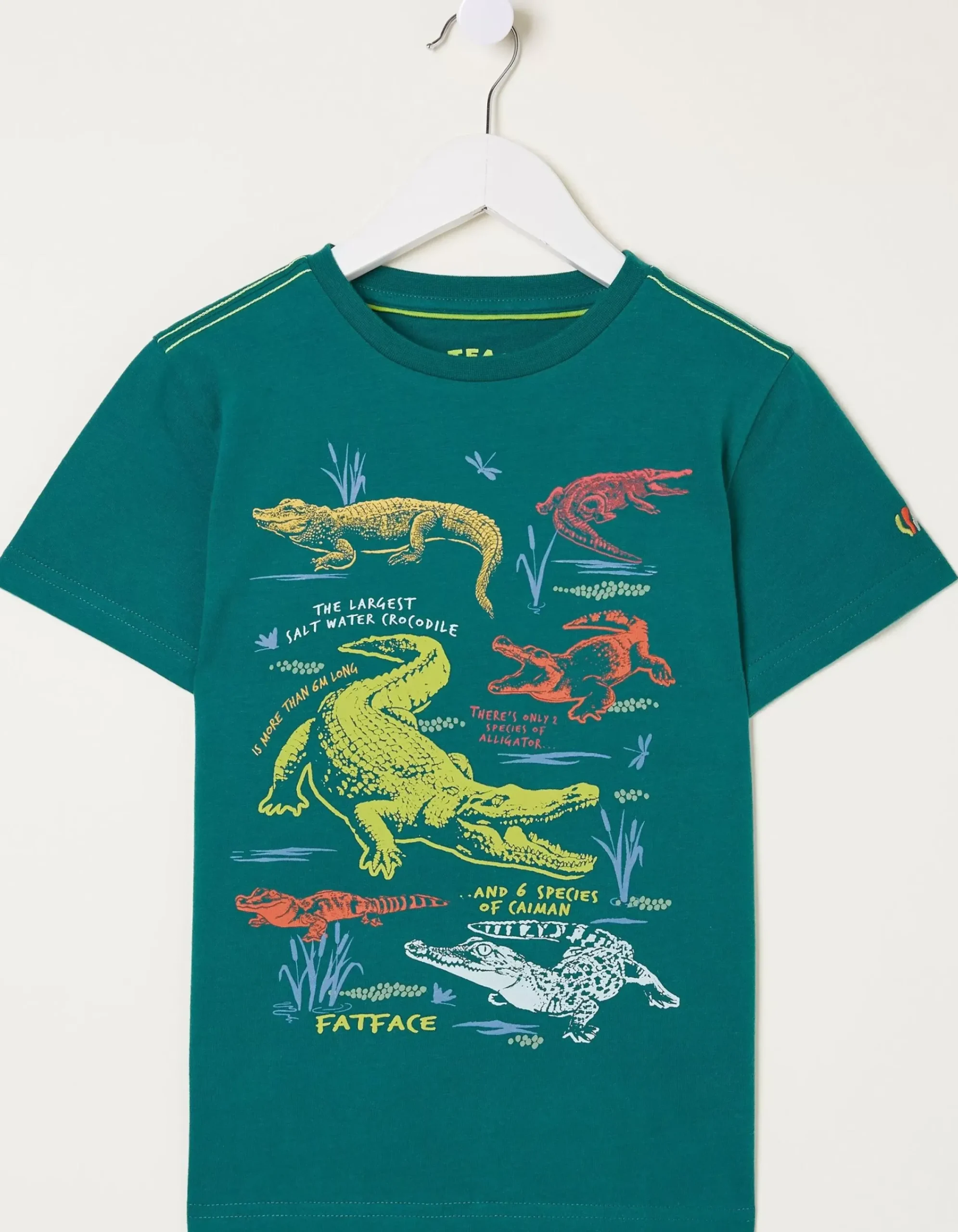 Boys FatFace View All|Crocodile Info Jersey T Shirt