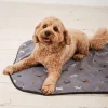 Gifts FatFace View All|Marching Dogs Pet Blanket