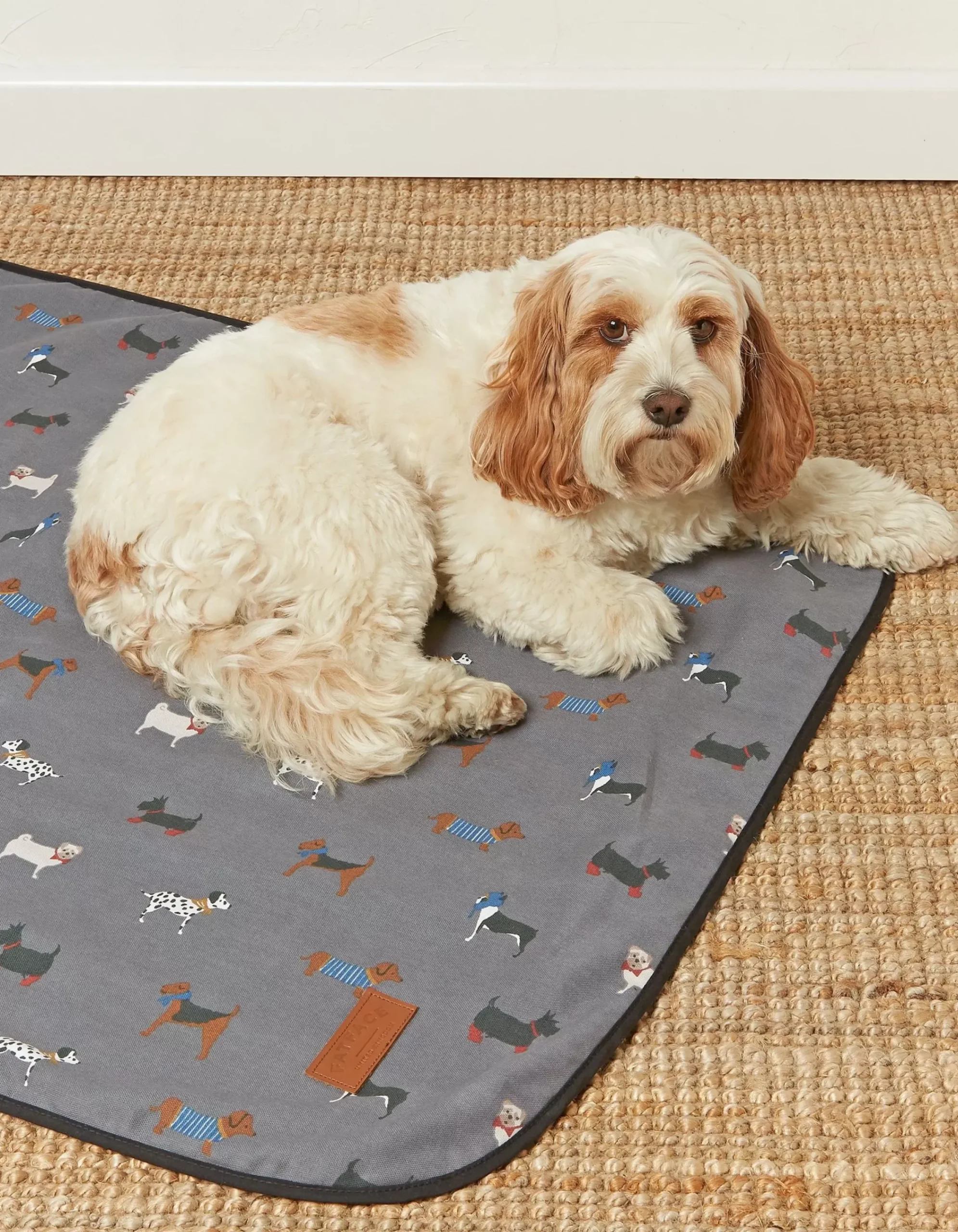 Gifts FatFace View All|Marching Dogs Pet Blanket
