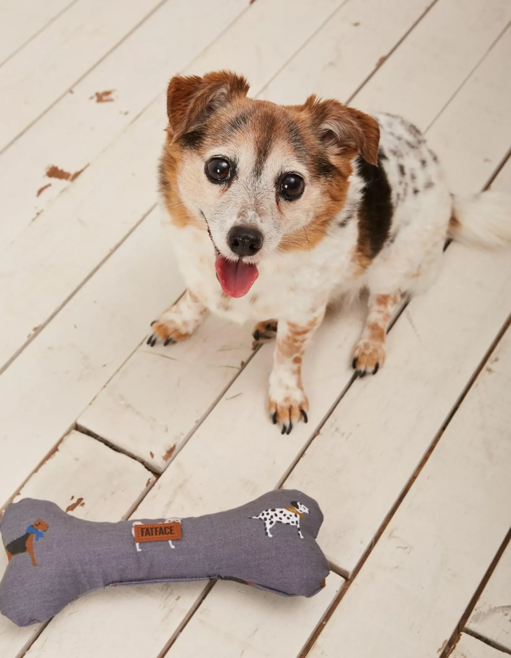 Gifts FatFace View All|Marching Dogs Print Dog Toy