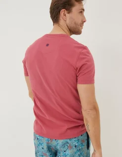 Men FatFace T-Shirts|Mcs Organic Turtle T-Shirt