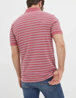 Men FatFace View All|Organic Cotton Stripe Polo