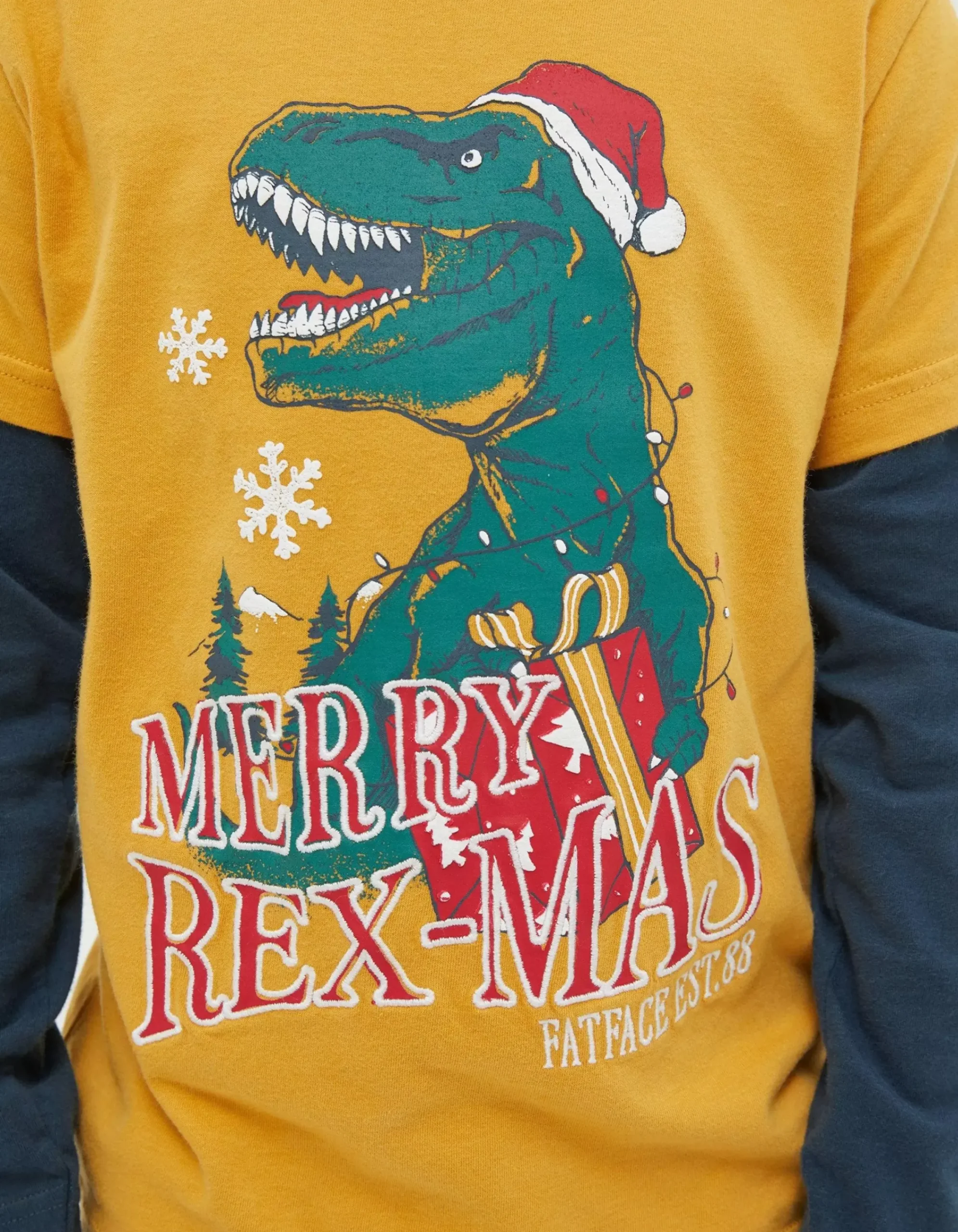 Boys FatFace View All|Rexmas Graphic T-Shirt