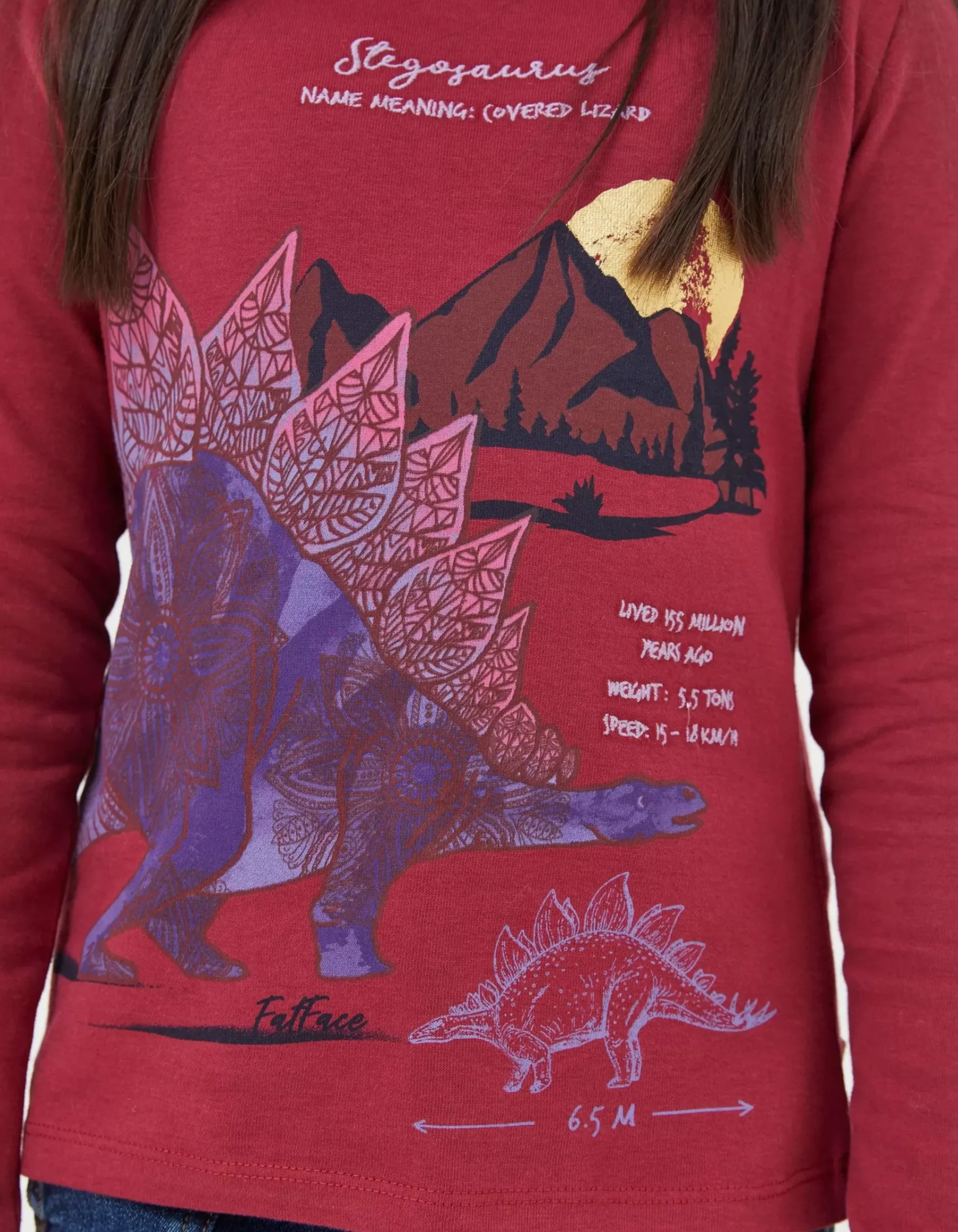 Boys FatFace View All|Stegosaurus Graphic T Shirt