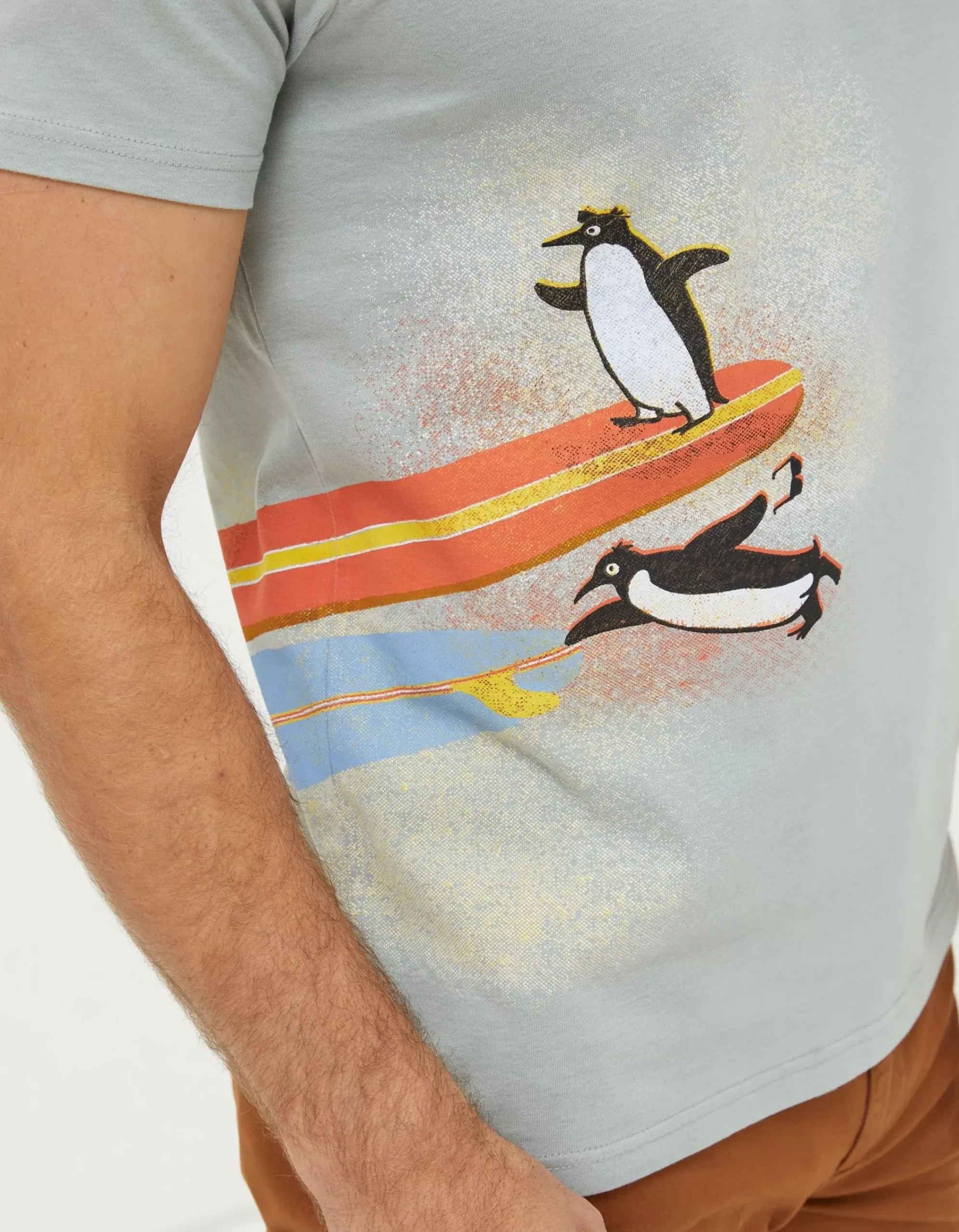 Men FatFace View All|Surfing Penguins T-Shirt