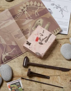 Kids FatFace View All|T Rex Excavation Kit